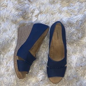 Blue Wedges